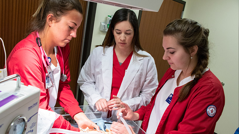 Image of three nursing/medical students